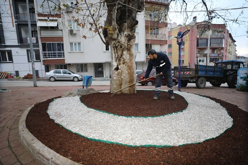 HEM DOĞAYA KATKI HEM ESTETİK GÖRÜNÜM İÇİN KURU PEYZAJ