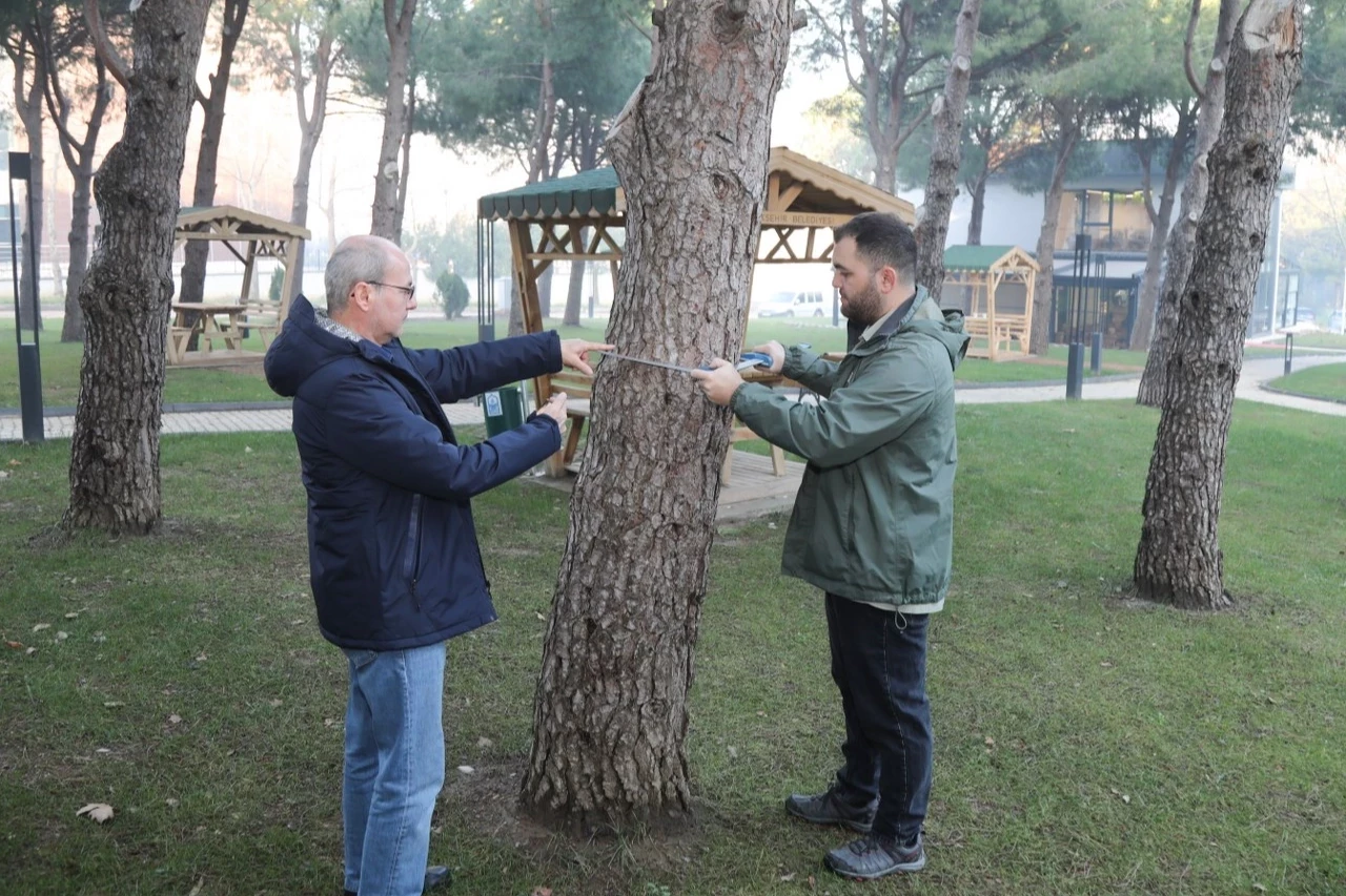 BTÜ’de orman envanterine katkı sağlayacak proje geliştiriliyor