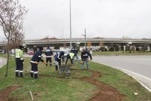 PEYZAJ VE BUDAMA ÇALIŞMALARI DEVAM EDİYOR