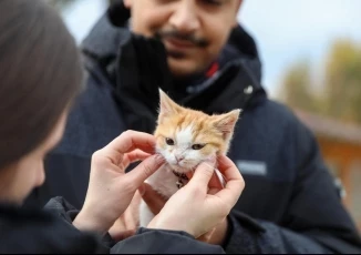 Buca’nın “Mucize”si yuvasına kavuştu