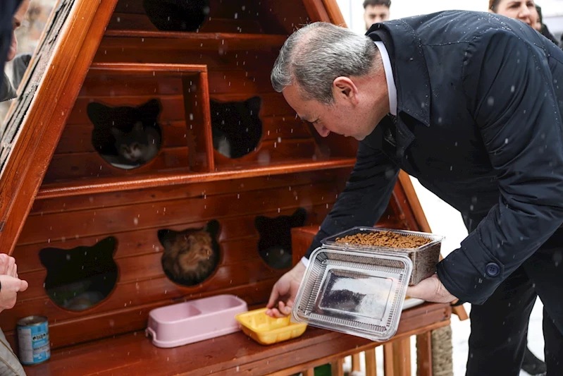 KIŞ GÜNLERİNDE KEDİLER İÇİN SICAK YUVA…