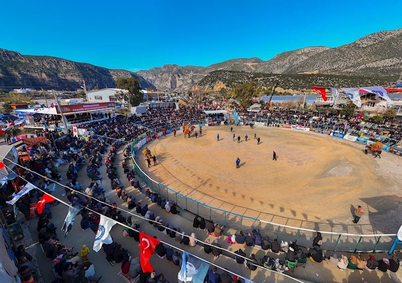 Demre Folklorik Deve Gösterisi Festivali