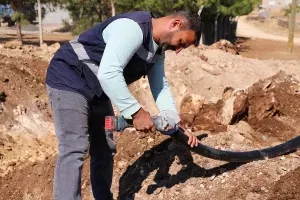 Çınar