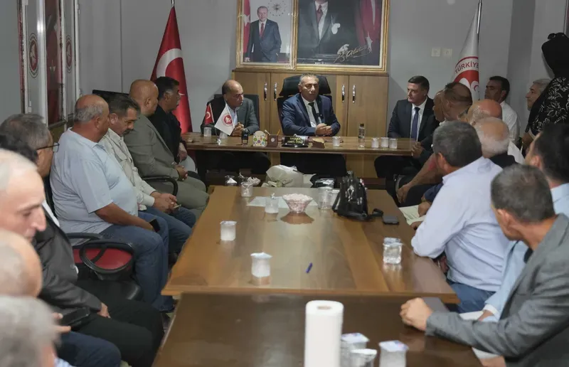 Yumurtalık