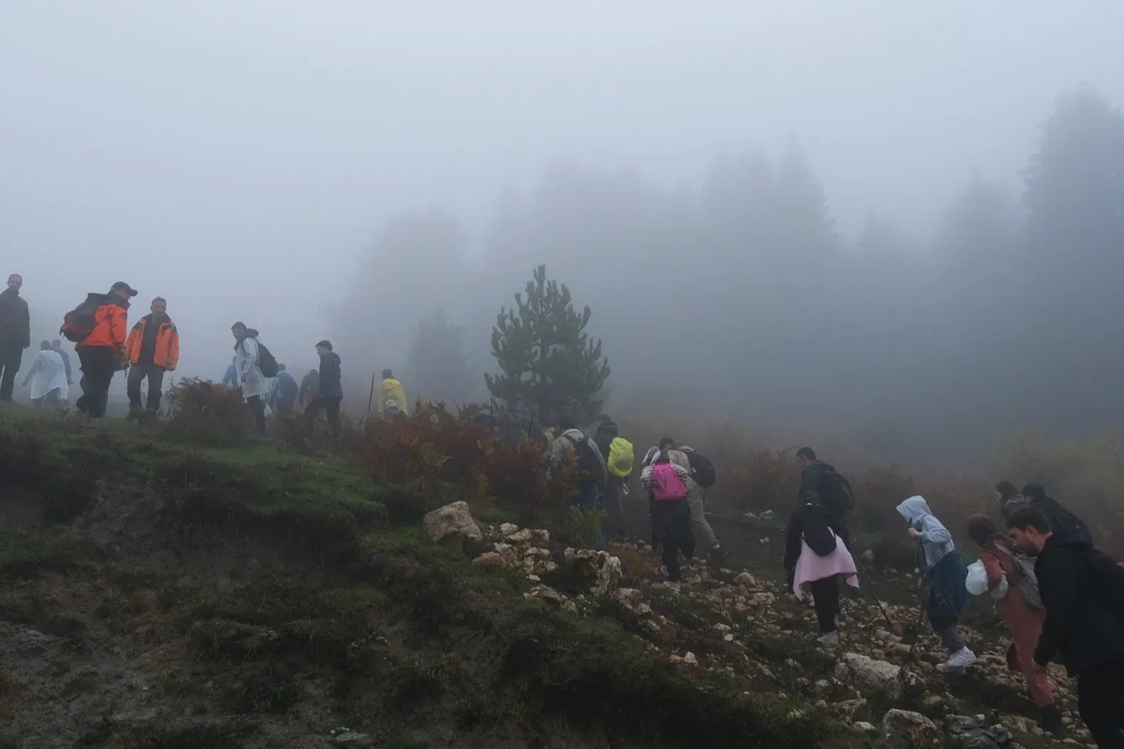 Sakarya
