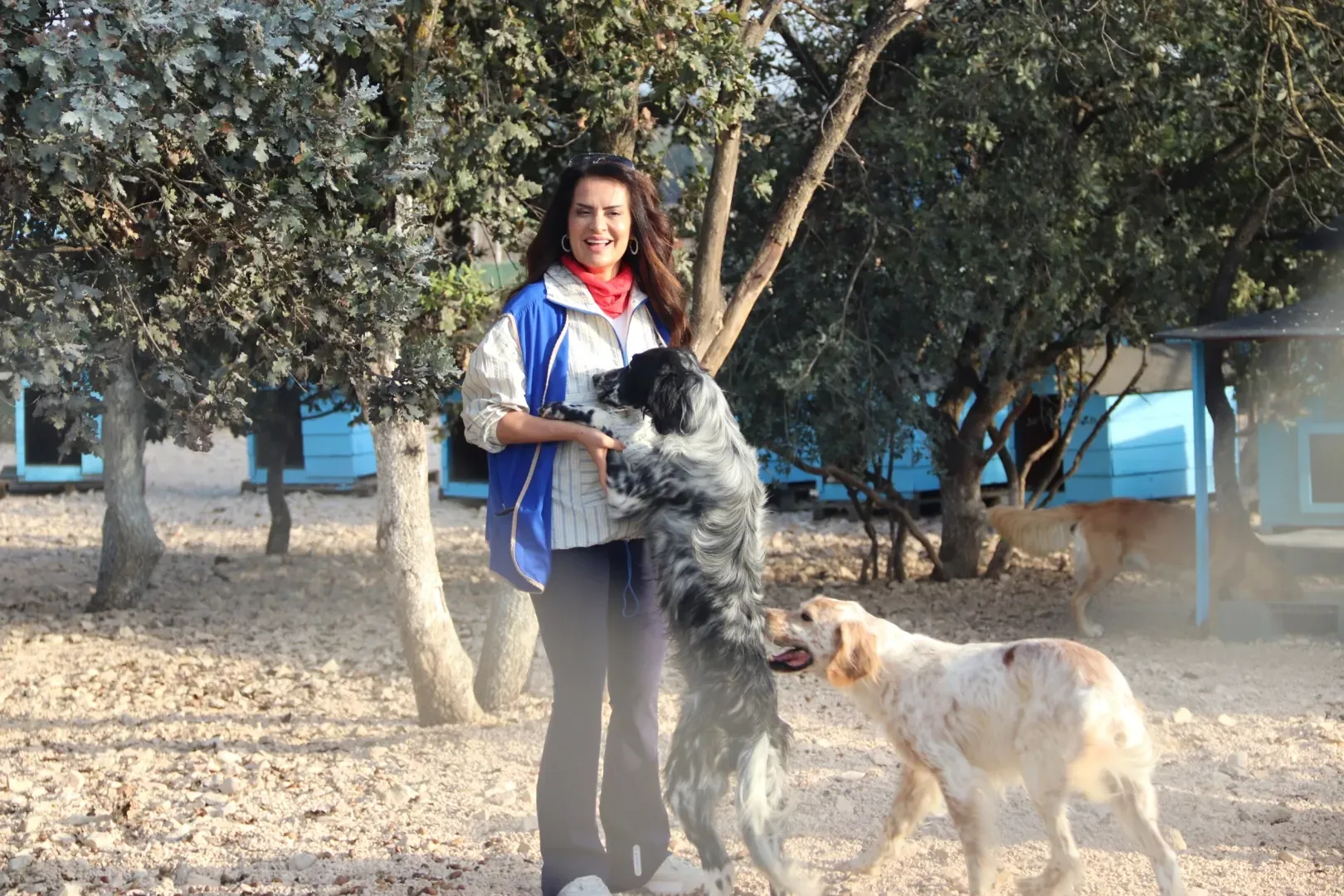 YASAV minik dostlara umut  oldu