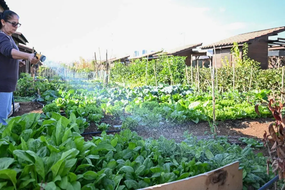 Mersin Hobi Parkı’nda kış hazırlıkları tamamlandı
