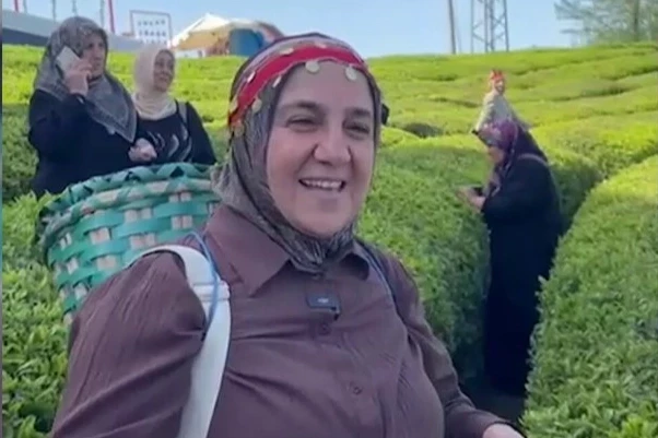 İçişleri