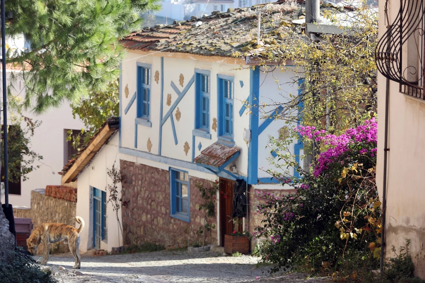 Bursa Mudanya