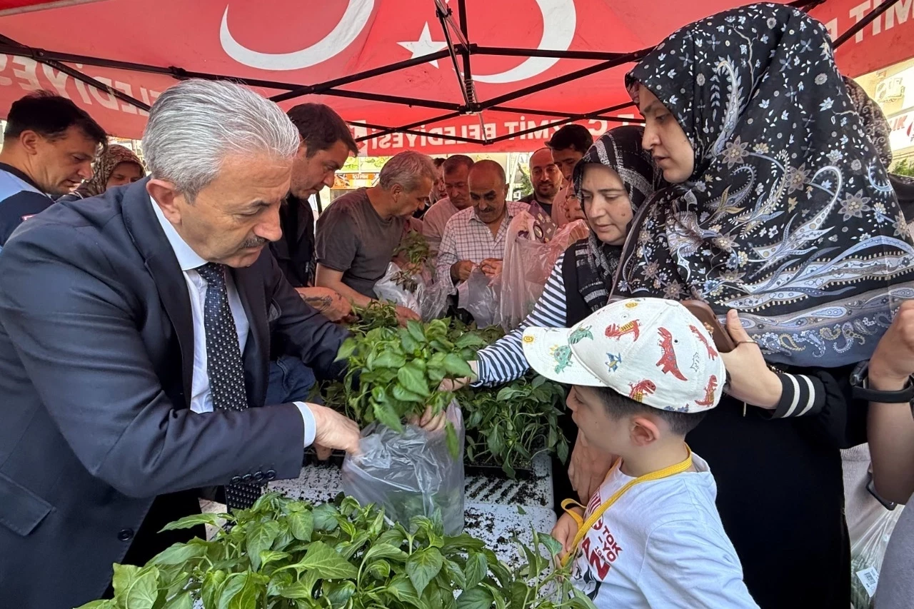 Kocaeli İzmit Belediyesinden halka fide desteği