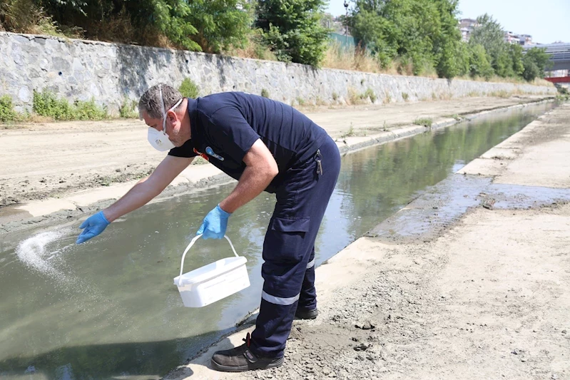 Eyüpsultan’da yaz mesaisi: 29 mahallede haşereye karşı etkili mücadele