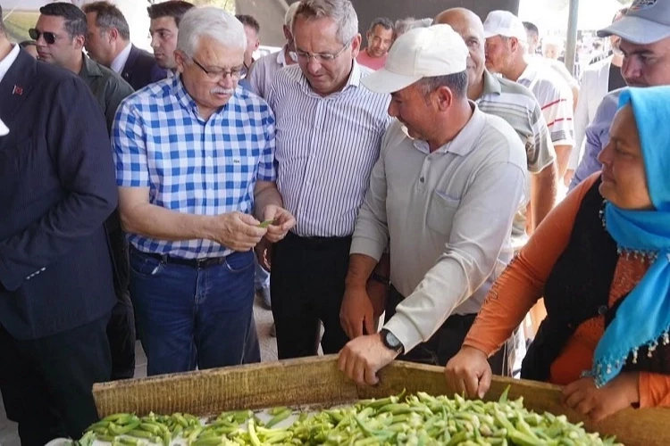 Balıkesir Ayvalık