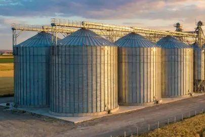 TMO'dan piyasaya müdahale! Şubat'ta 3,9 milyon ton hububat satışta