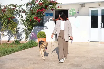 Antalya’da “Satın alma, sahiplen” çağrısı