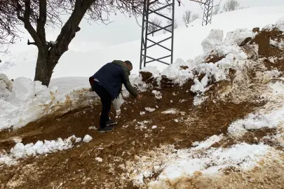 Batman Sason’da yabani hayvanlar için yemleme çalışması