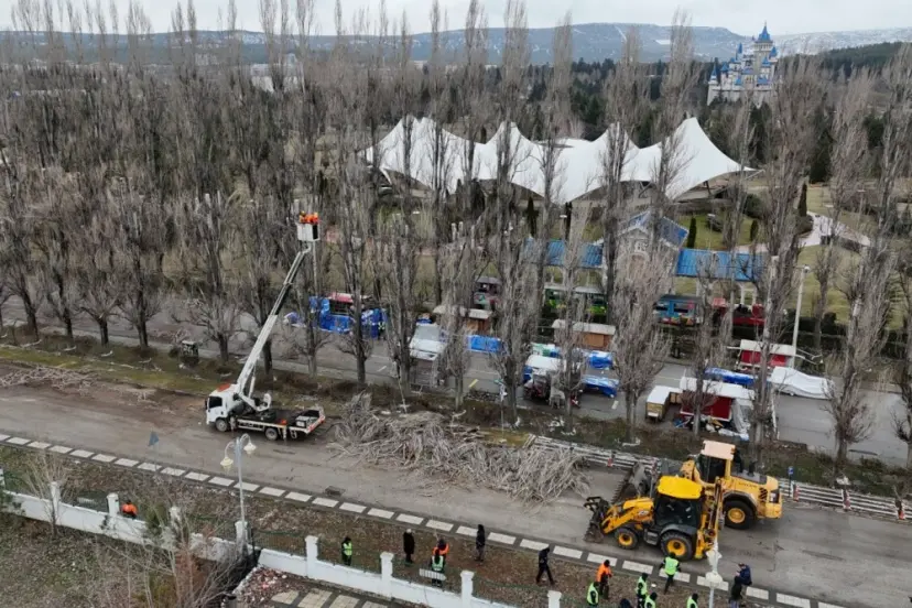 Eskişehir Büyükşehir'den ağaçlara gençleştirme çalışması
