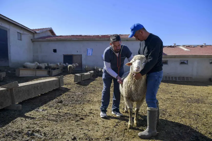 Ankara’da kırsaldaki üreticiye can suyu