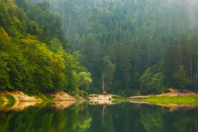 Doğa Koruma ve Milli Parklar'da yeni dönem... Yetkiler artırıldı, cezalar yükseltildi