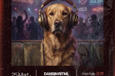 IF TEPE PRIME’DAN SOKAK HAYVANLARI İÇİN BÜYÜK DAYANIŞMA GECESİ