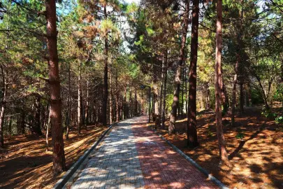 Sakaryalılar baharı ‘Huzur Koridoru’nda koşarak karşılayacak