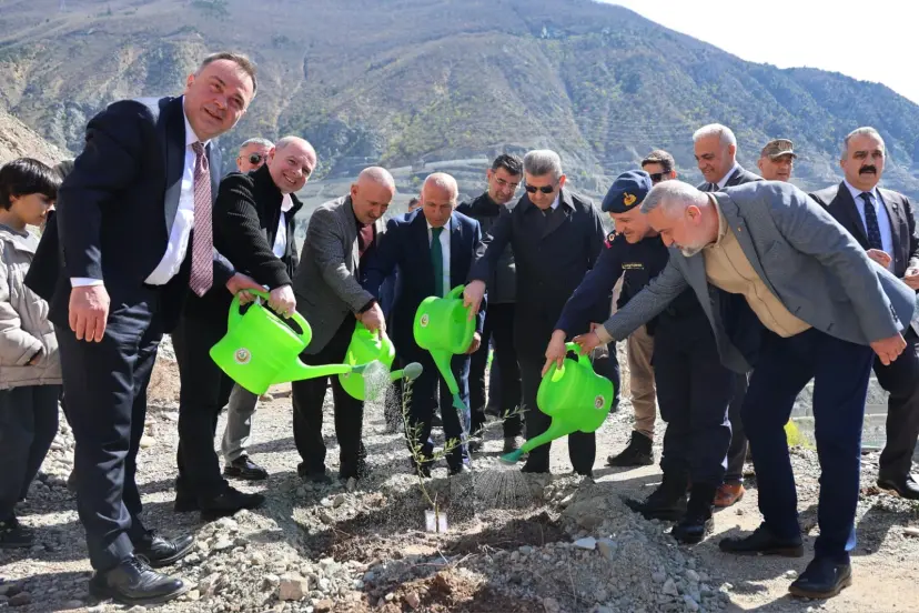 Artvin’de Butko zeytini üretimi yaygınlaşıyor