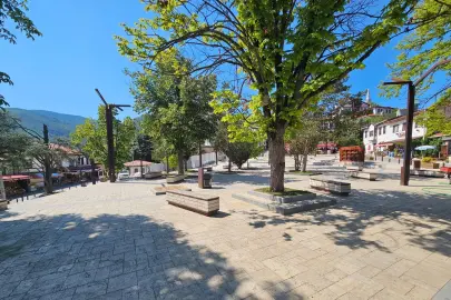 Sakarya Taraklı’da tarihi çınar yeniden hayat buluyor